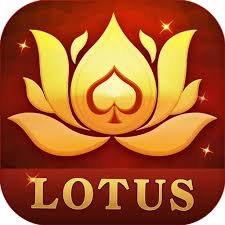 1toking rummy download